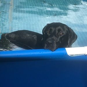 Meet your Posher, Krystal